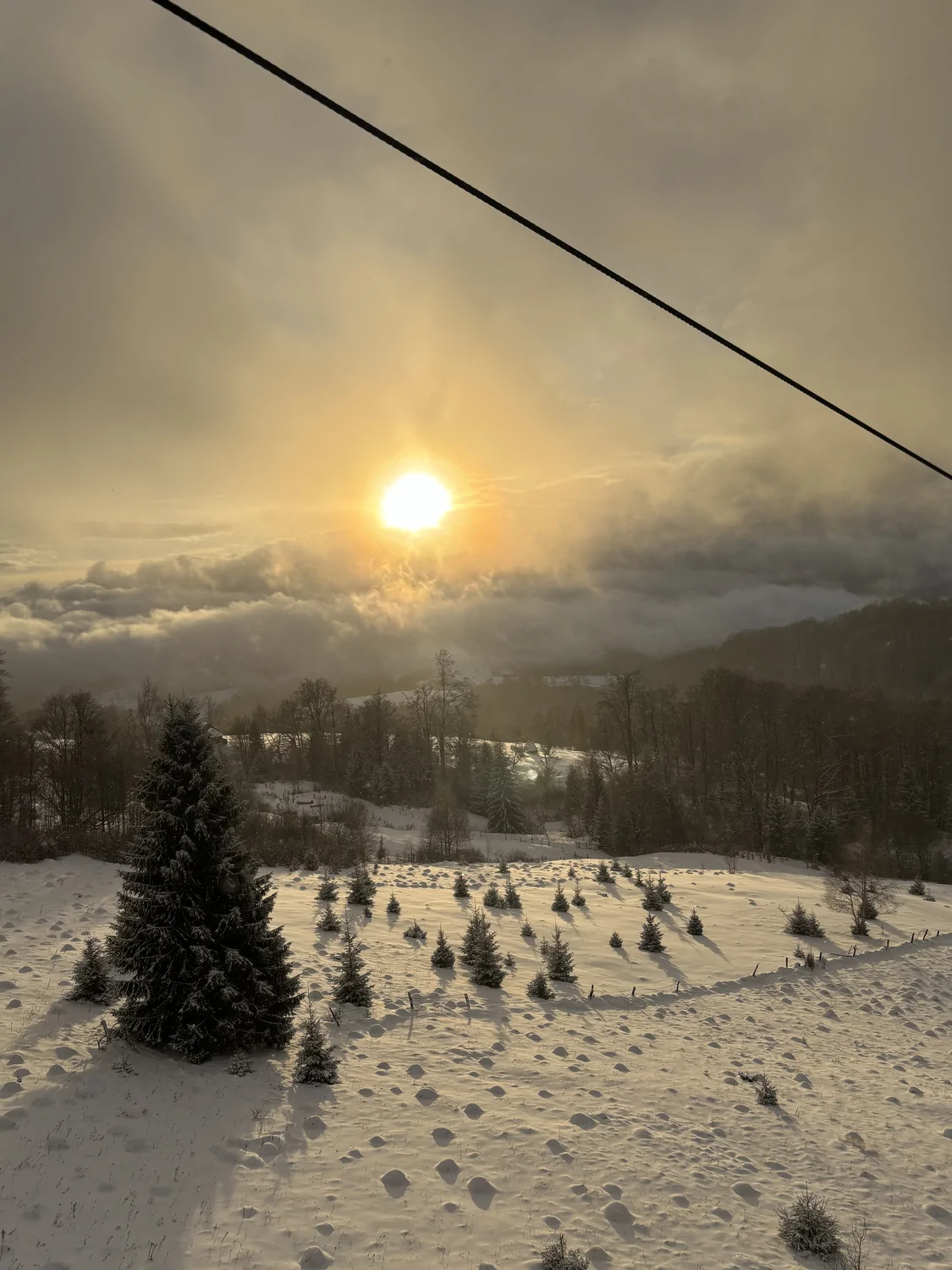 Анна Потоцька Регресолог